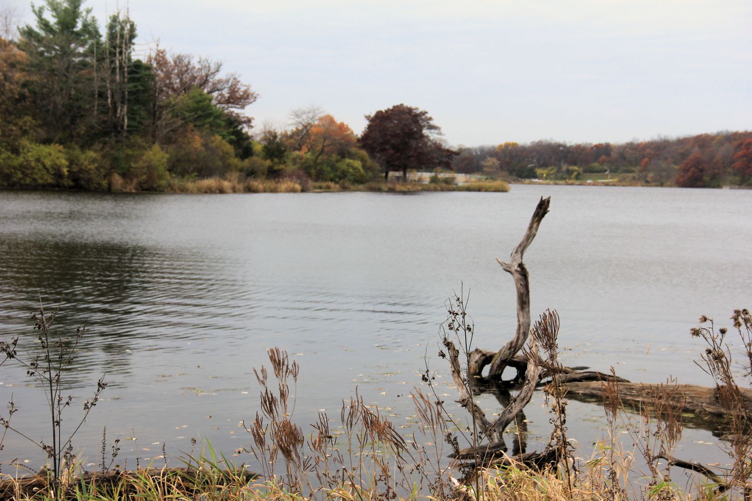 Rock Cut State Park 